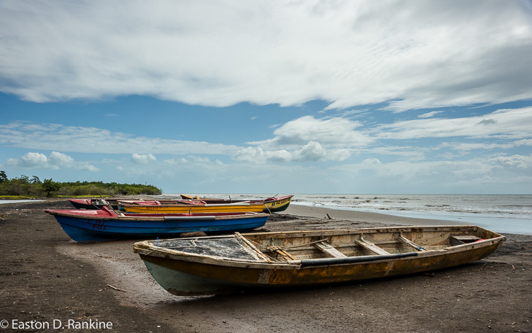 Milk River Bay II