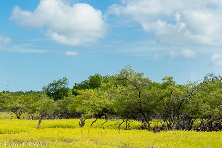 _DSC5167.jpg