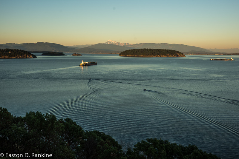 _DSC9058.jpg
