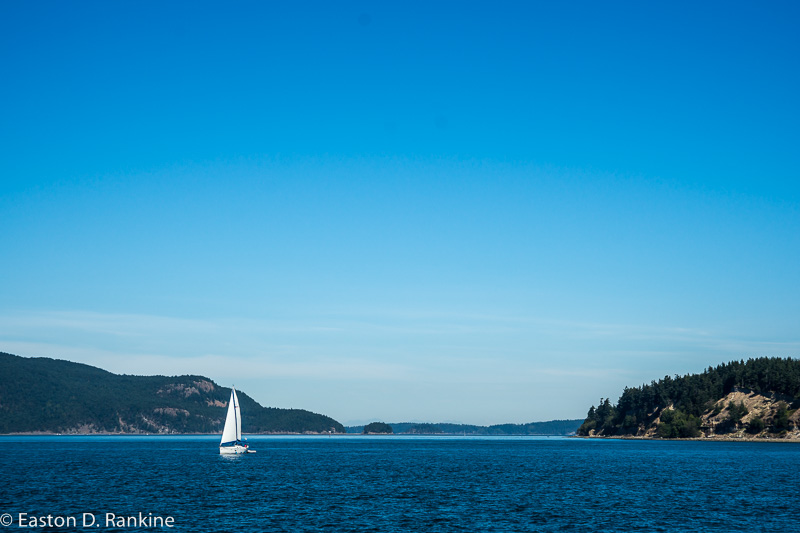 _DSC9083.jpg