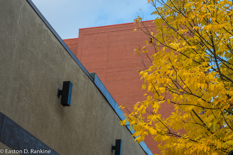 _DSC9599.jpg