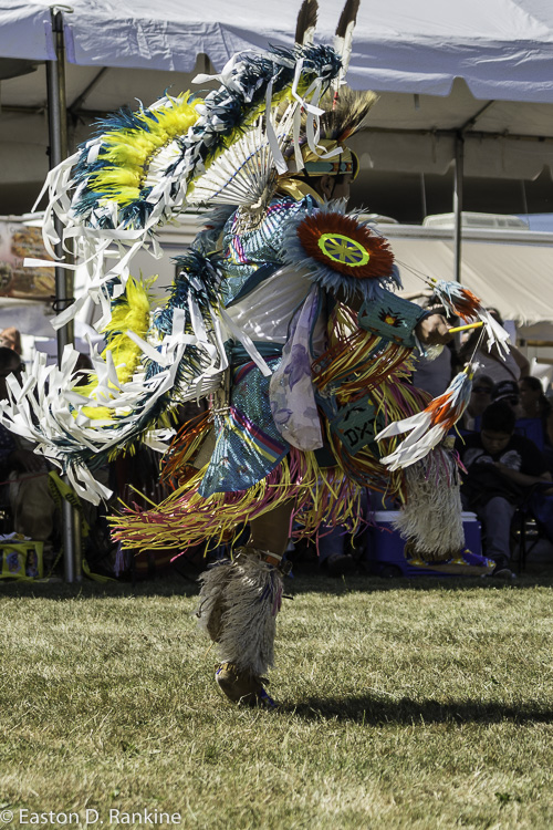 _DSC9884.jpg