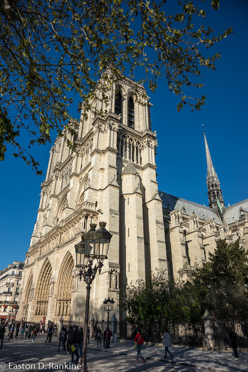 _DSC0803.jpg