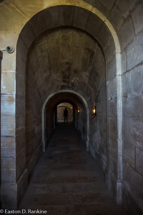 _DSC0917.jpg