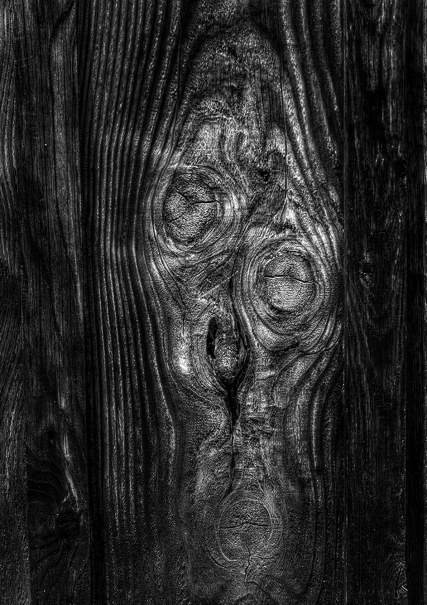 The Scream as reproduced by nature and a saw mill. 