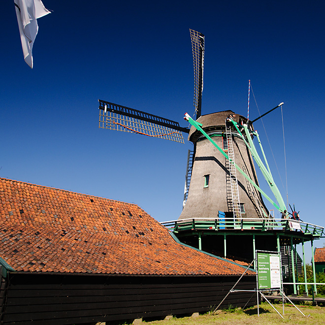 DSC_3680.jpg