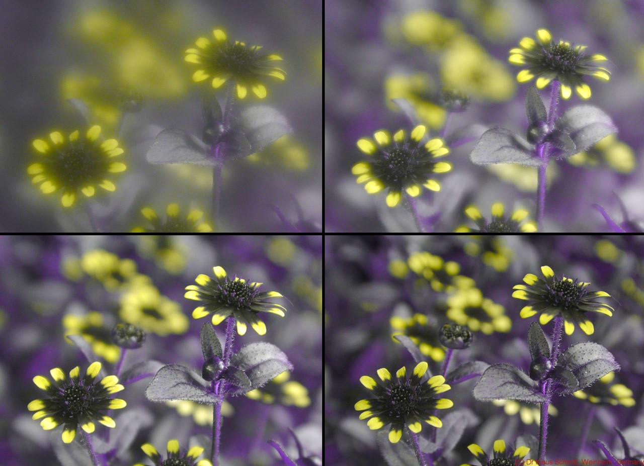 QF + 100mm CaF2 compressor aperture_c.jpg