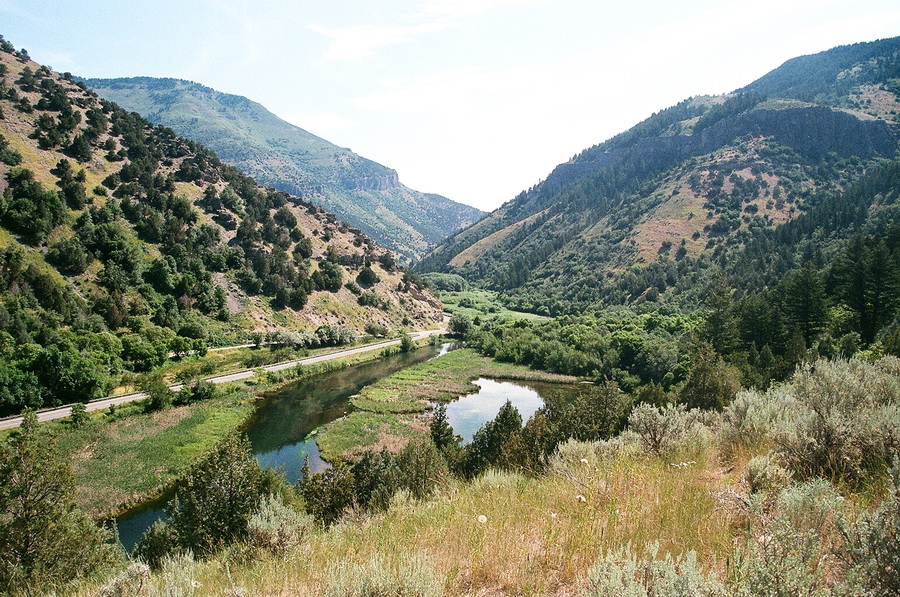 Beautiful summer morning in Logan Canyon, Utah - where I was lucky enough to grow up. 7/1/2015