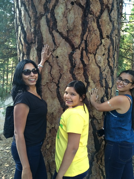 The Nelson ladies w. Pinus lambertiana (Sugar Pine) Yosemite Natl Park, Calif 7/9/2015