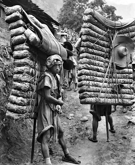 1908 - Men carrying tea