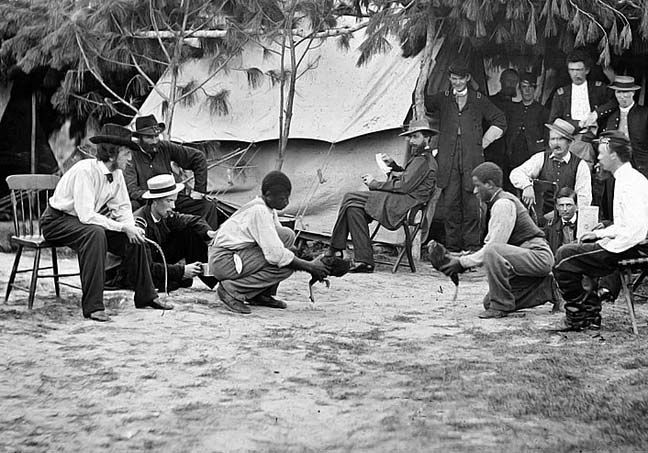 August 1864 - Cock fight