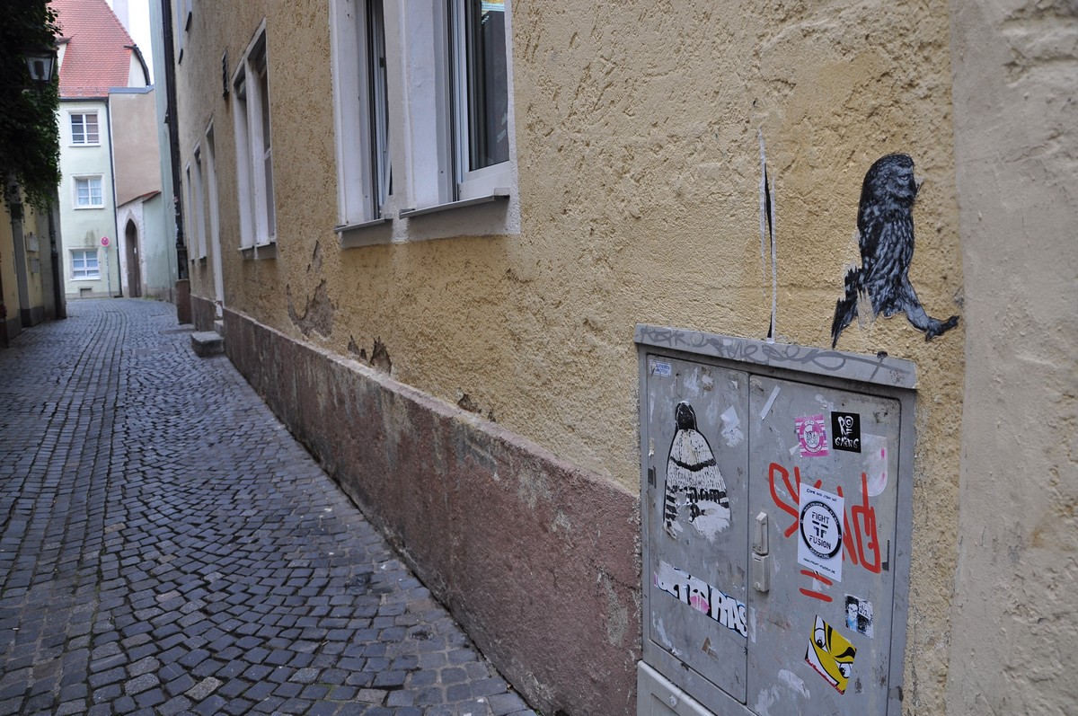 DSC_0353.JPG