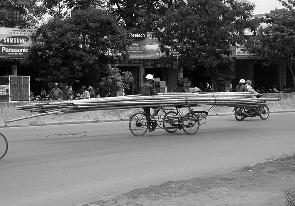 bamboo poles.jpg