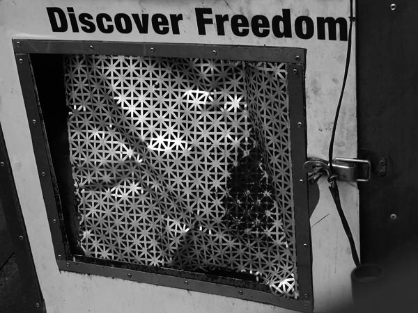discover freedom.jpg