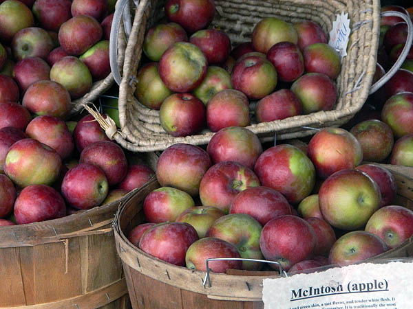 mcintosh apples.jpg