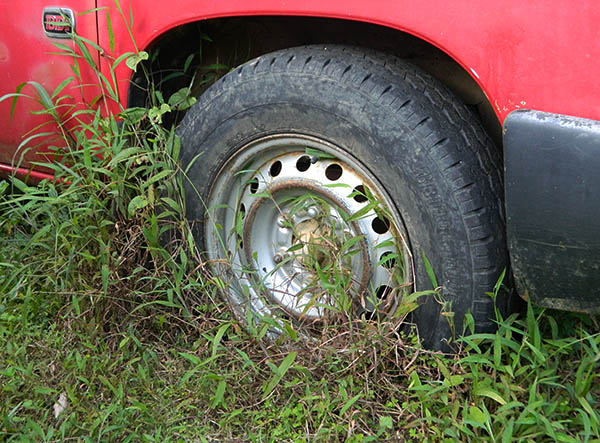 wheel and grass.jpg