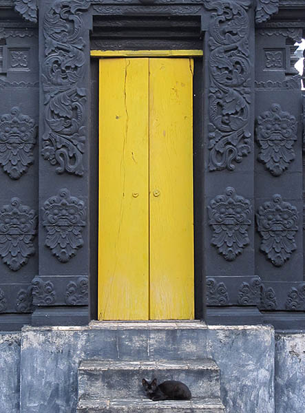 black cat yellow door.jpg