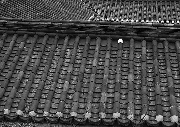 tiled rooftops.jpg