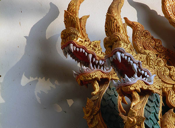teeth of the dragons.jpg