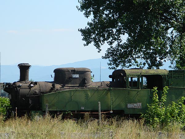 steam engine out to pasture.jpg