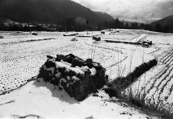 hiyoshi winter fields.jpg