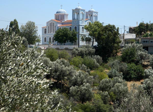 church and olive trees.jpg