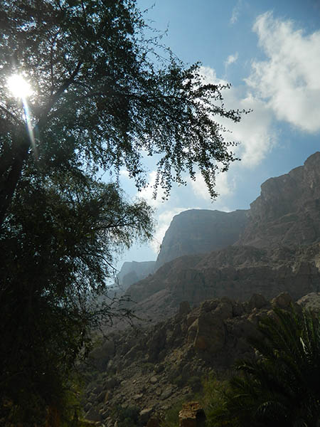 light in the canyon.jpg