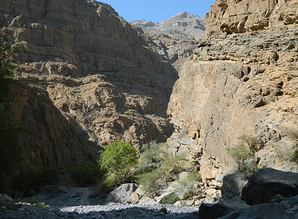 in the wadi.jpg
