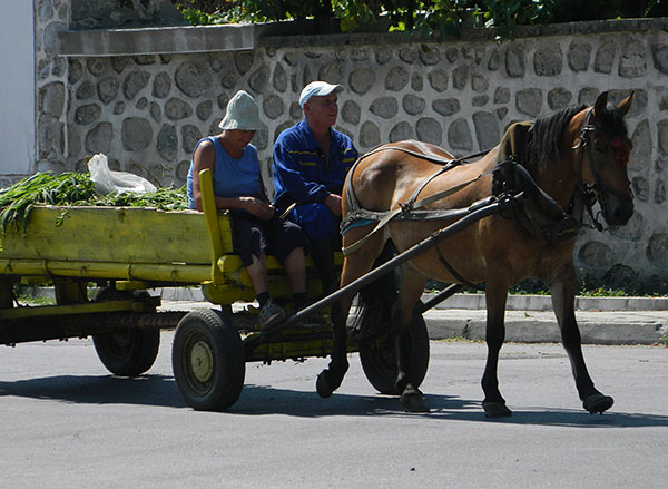 horse and cart.jpg