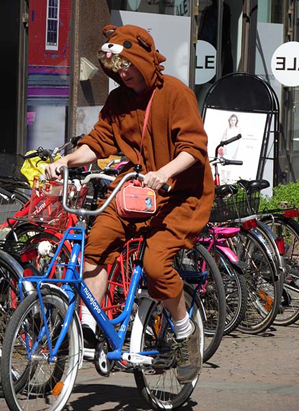 bear on a bike.jpg