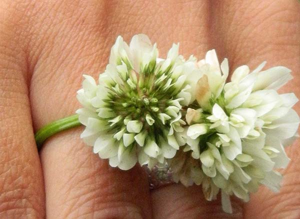 flowery ring.jpg