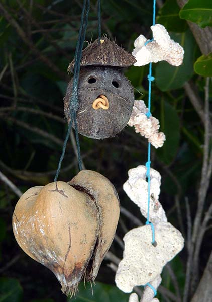 coconuts and corals.jpg