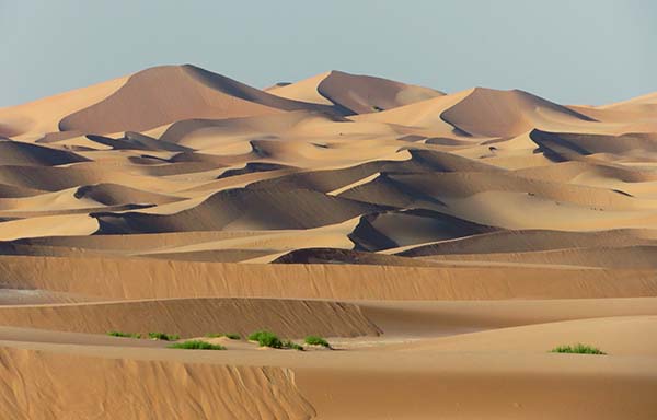 dunes at late afternoon.jpg