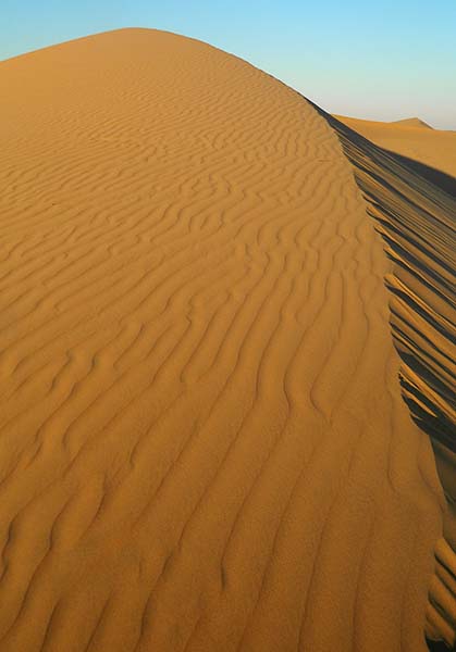 dune ridge.jpg