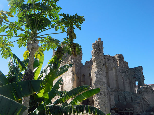 al munisifeh papaya tree and ruins.jpg