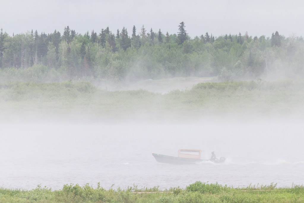 2014 June 24th taxi boat on a foggy morning