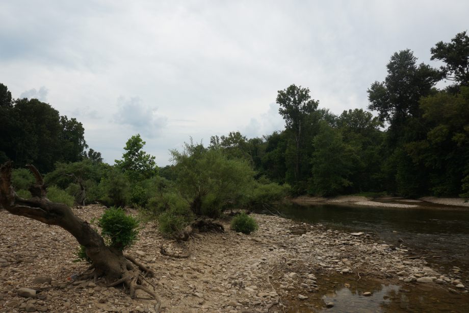 20150804_152346_rfl_a6000_rz.JPG