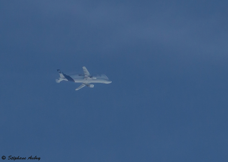 Airbus A300-608ST Beluga (Dolphin 4)