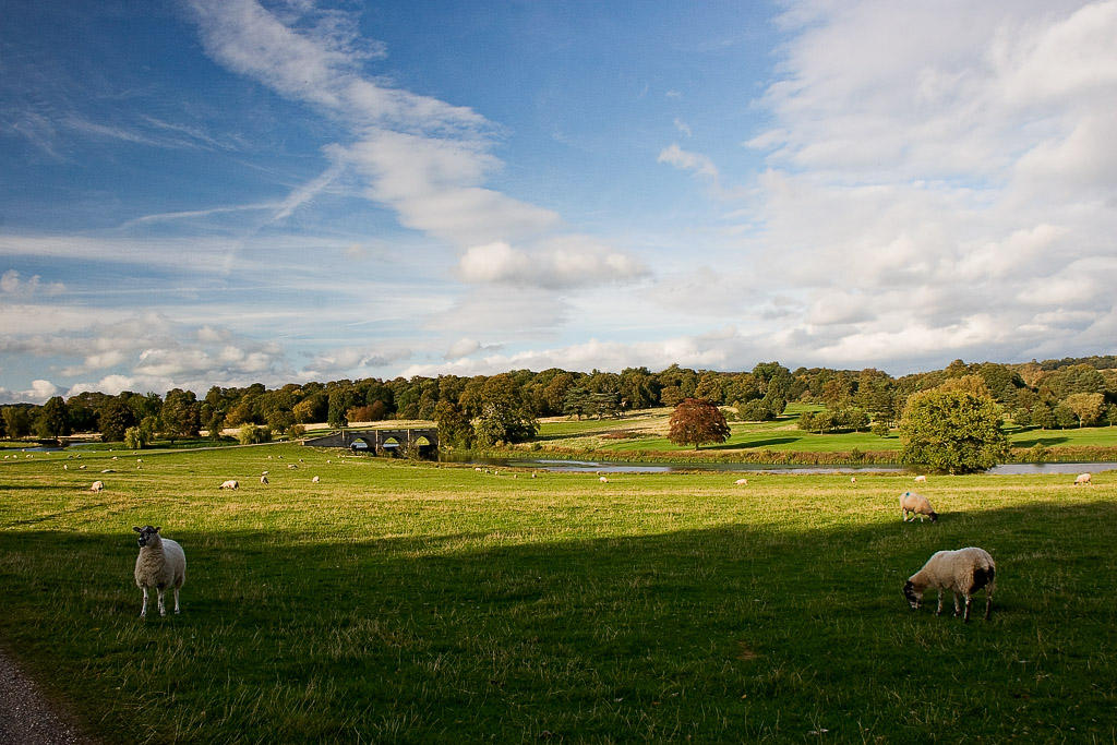 _MG_2831 kedleston.jpg