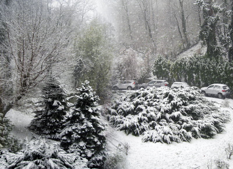 Winter from my window.