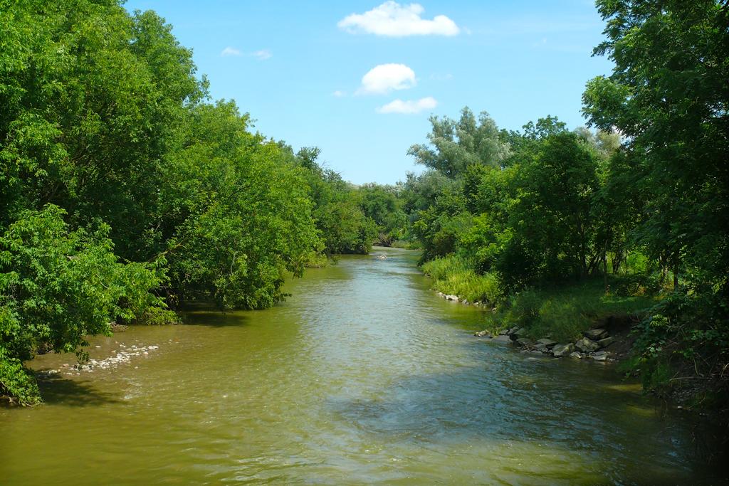 Summer, Humber River, Rowntree Mills Park, Toronto, Ontario