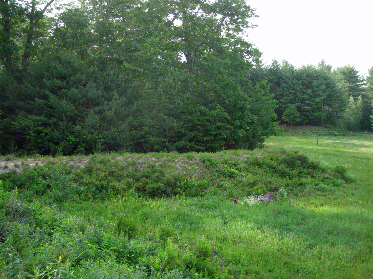 Towhee Hill