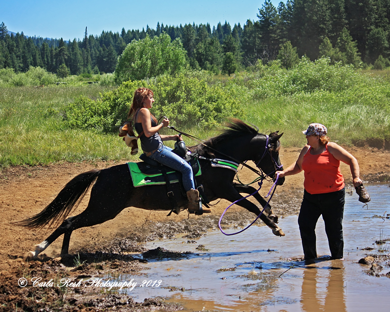 Learning the water crossing