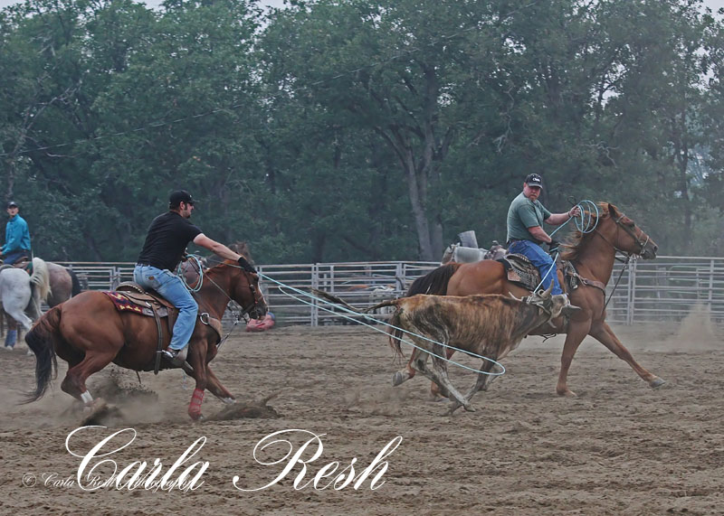 2013_08_07_0273_5x7.jpg