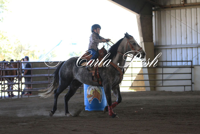 20131006_1257.JPG