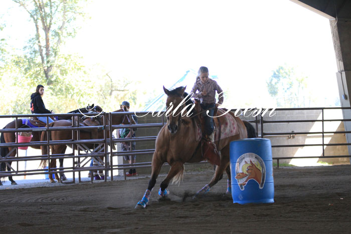 20131006_1295.JPG