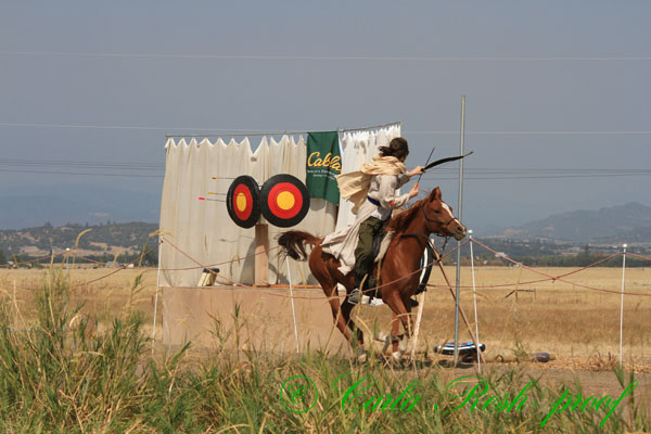 20140912_1036.JPG