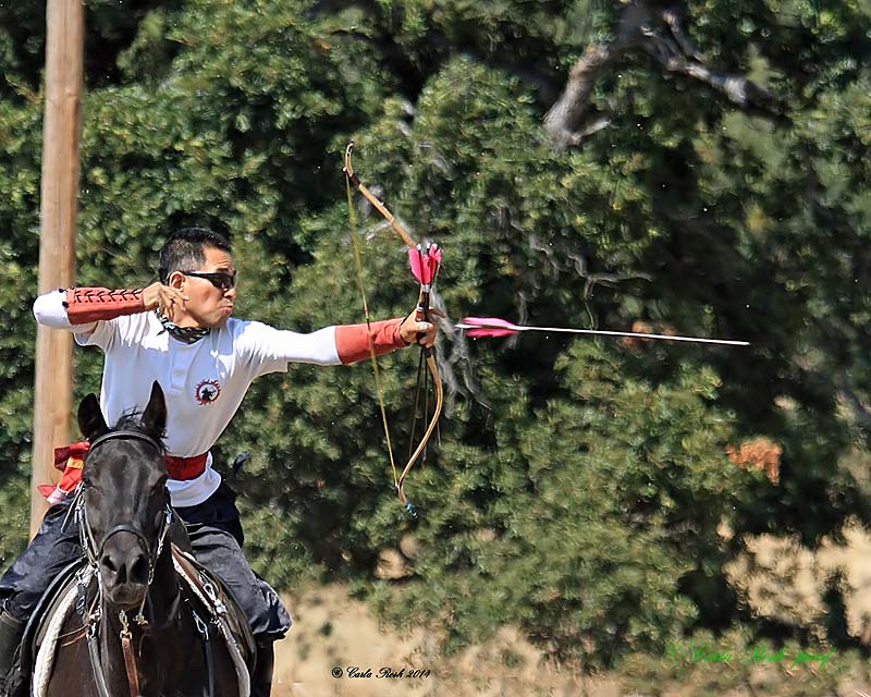 20140914_1590_rma8x10.jpg