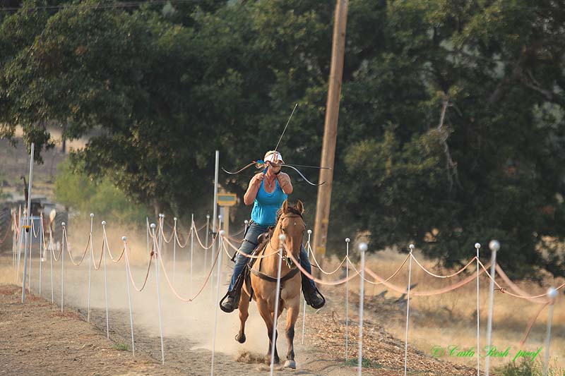 20140914_4787.JPG