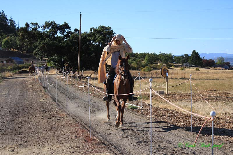 20140910_1523.JPG